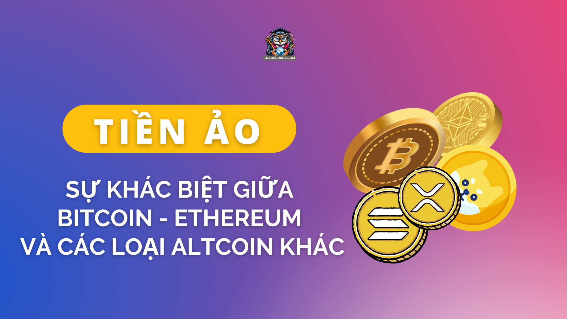 blog-image